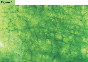 Concentration of dye in surface cracks in green jadeite jade.