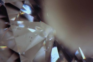 Utilizing the 'wet grading' technique on this diamond, small crystal inclusions appear dark against the reflection of the sponge, while reflective feathers brighten.