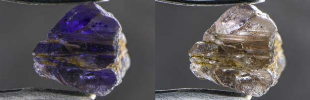 Johnkoivulaite shows strong pleochroism, going violet (left) to near-colourless (right) when examined with polarized light. (Field of view: 10.05 mm.) 