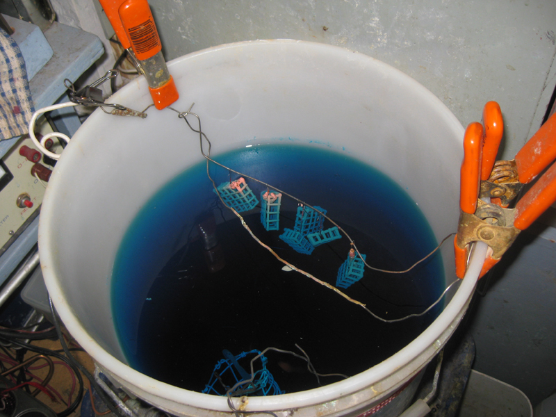 The five-gallon Nalgene tank Lewton-Brain’s pieces grow in. This is a food-grade bucket he found behind a restaurant. The plastic is designed to be non-reactive to chemicals.